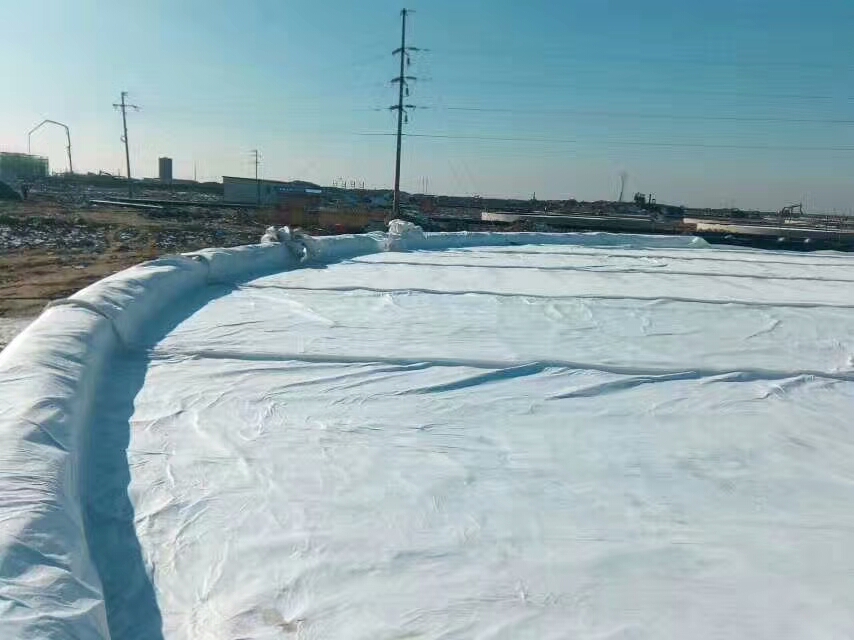 什么才是好花季APP下载安装-花季APP下载安装