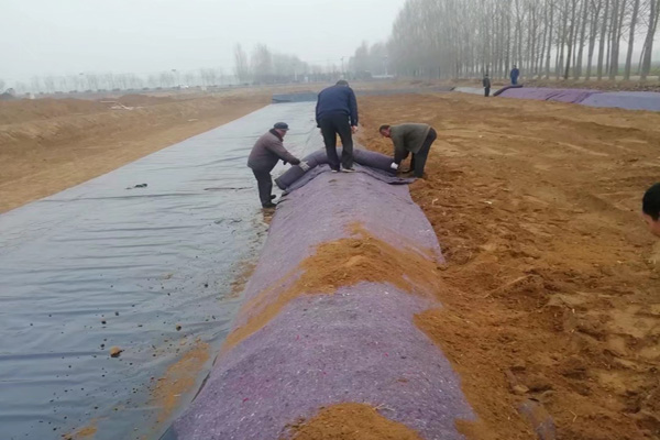 花季APP下载安装在雨季铺设的注意事项