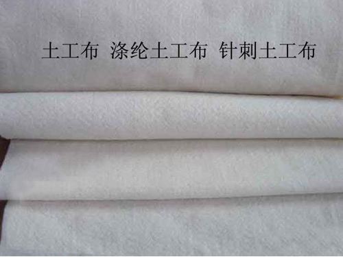 涤沦花季APP下载安装