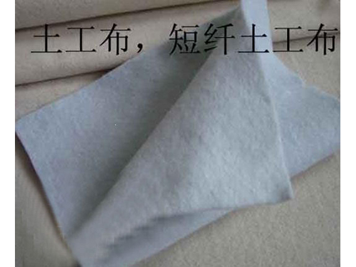 花季APP下载安装